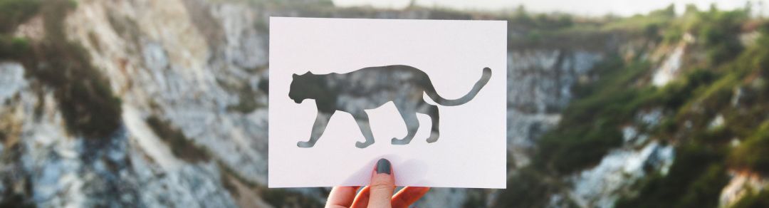 品牌吉祥物预告 汇联易之十三生肖 我属豹 公司动态 汇联易